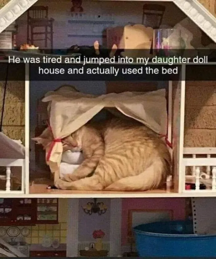 Ahhh So Adorable