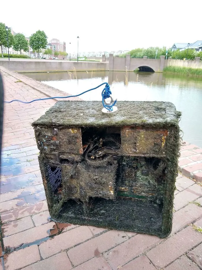 ¡Acabo de atrapar una computadora entera!