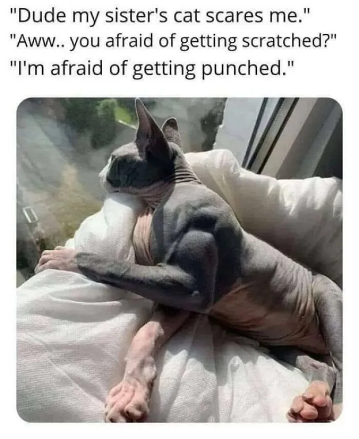 Might Teach Him Some Boxing
