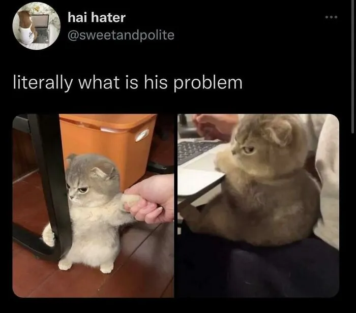 Dude Look Those Eyes He Is Pissssed