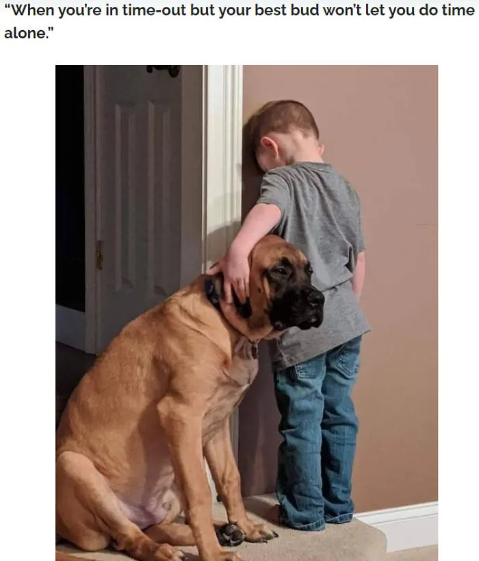 Buddy