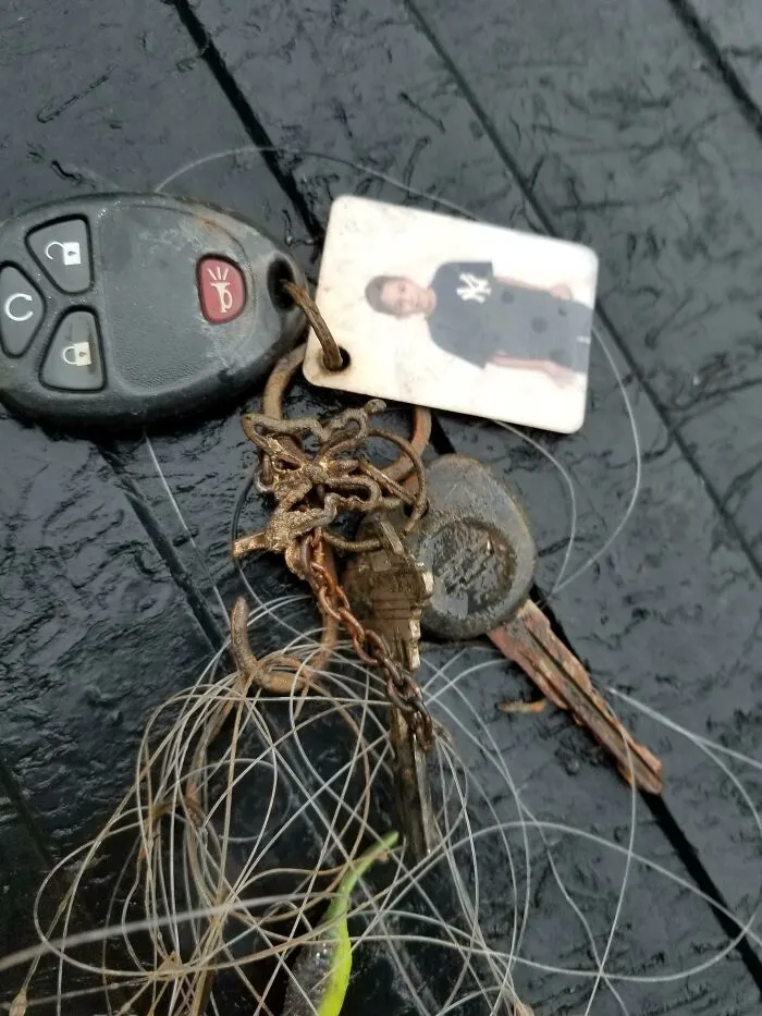 Found These The Other Day, Found The Owner Today