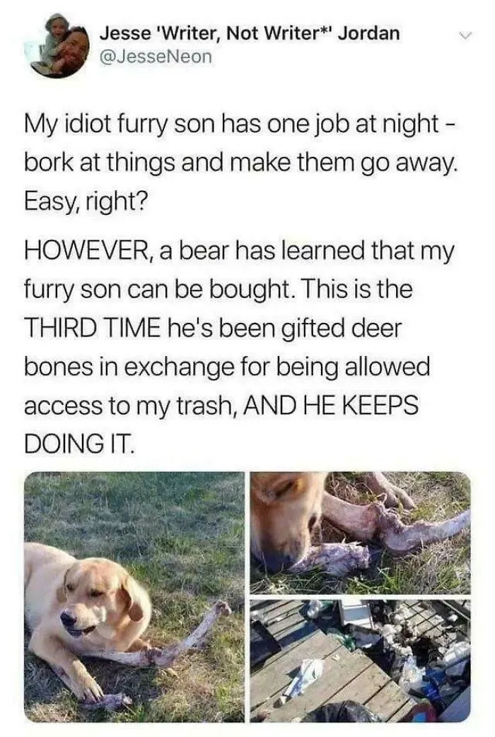 Gifts