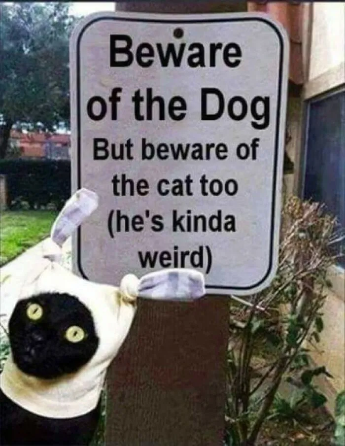 Too Weird😂😂