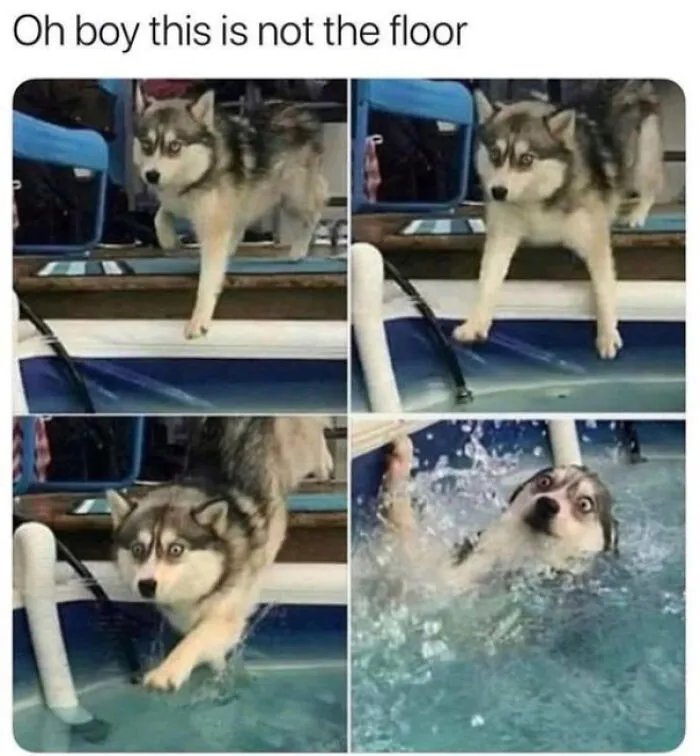 Are There Posts Worth 999 Views?