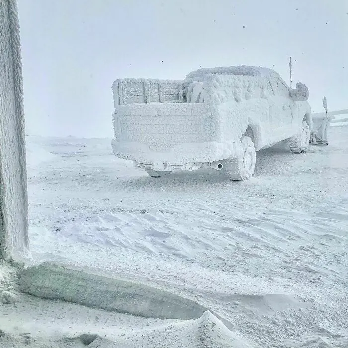 I Guess I'm Not Driving Anywhere Today