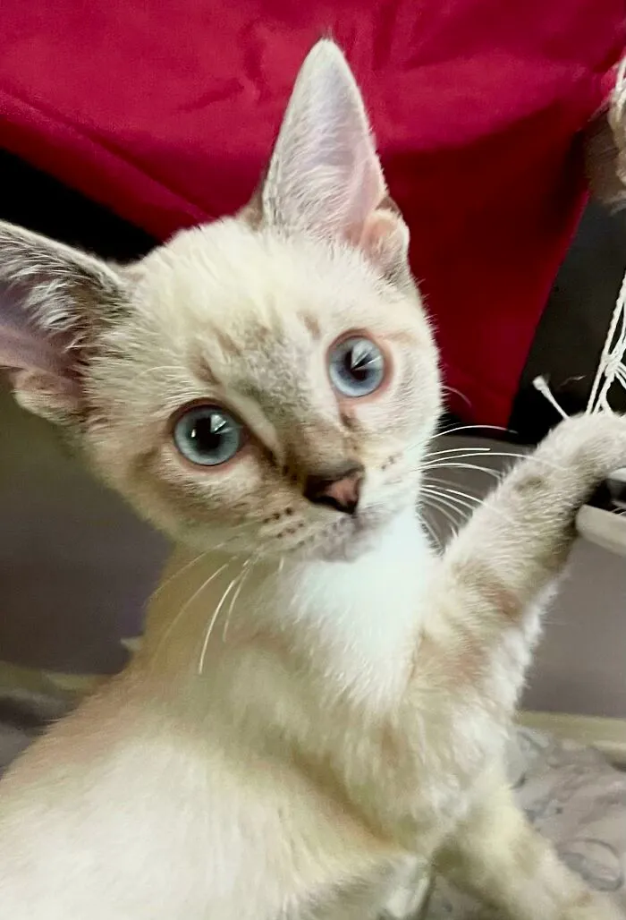 Murph encontró su hogar definitivo