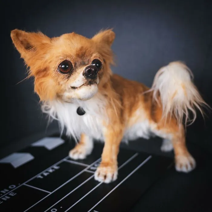 I'm Making Animal Dolls Out Of Faux Fur, And It's Both Ethical And Cute (32 Pics)