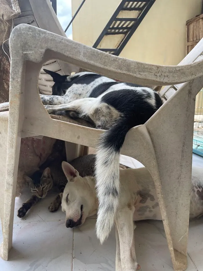 Dnd!! Nap Time…