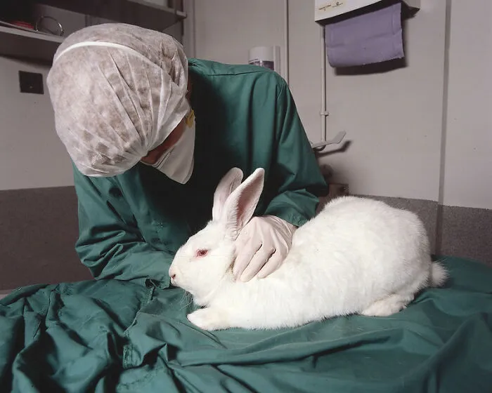 99% Of All Animals Are Sentient