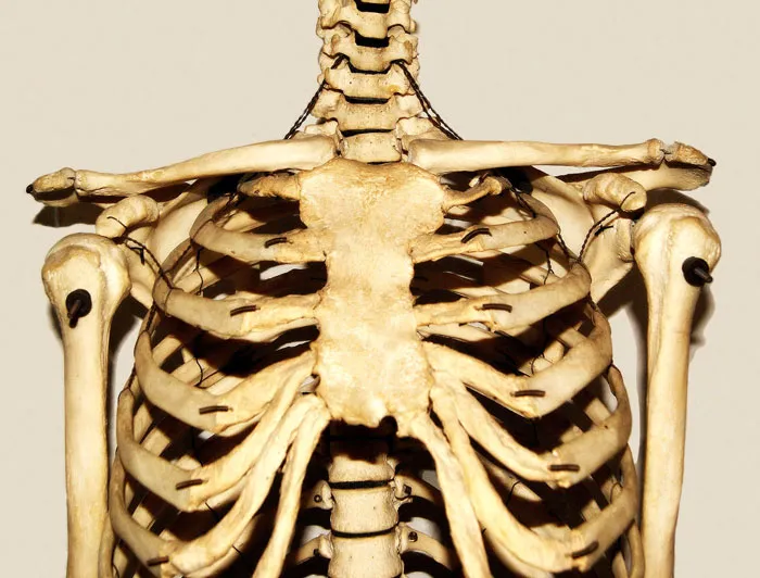 My Rib Cage Isn't Quite Centered