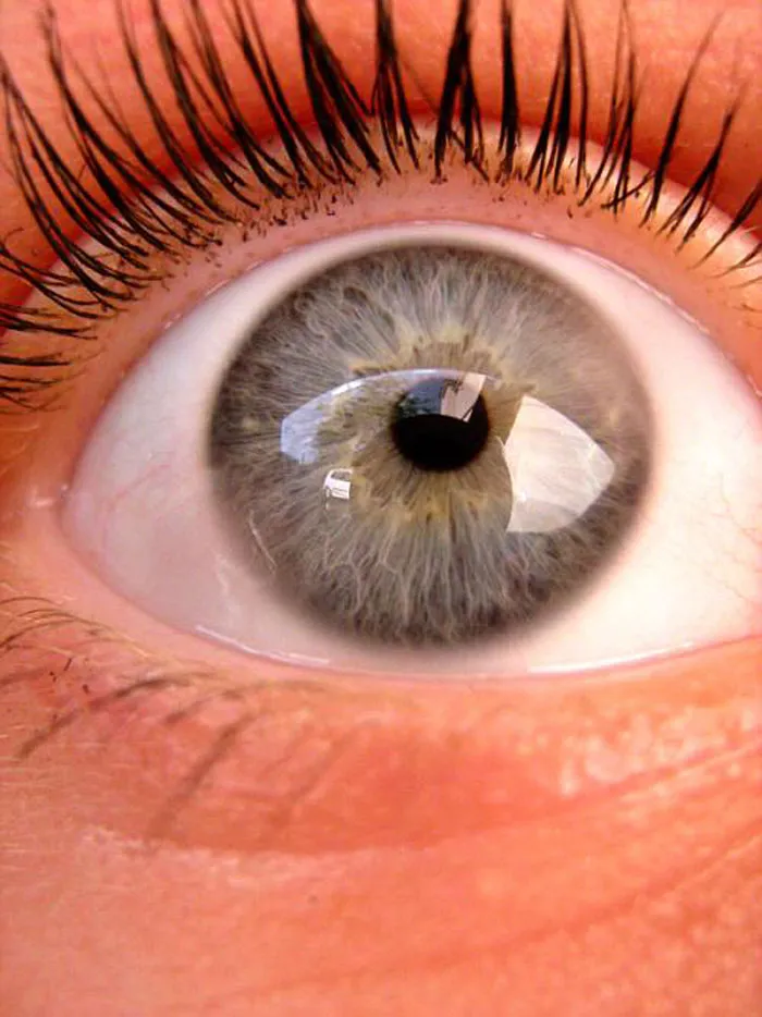 My Eye Color Is...grey