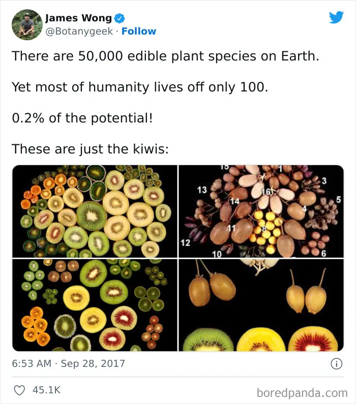 Why Is That?