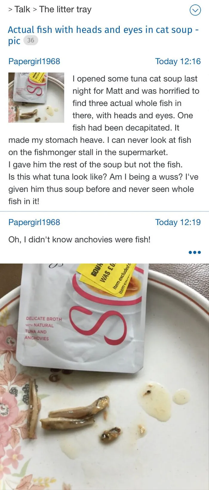 35 Times Insane Moms Went Way Too Far And Got Shamed On The "Mumsnet Madness" Twitter Account