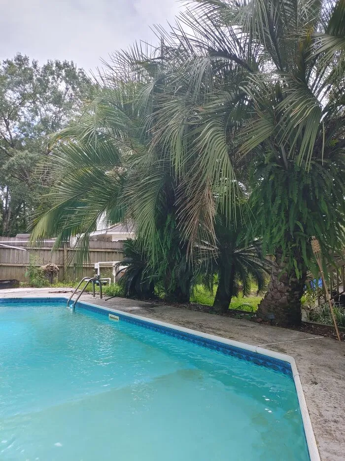 Do Backyards Count?