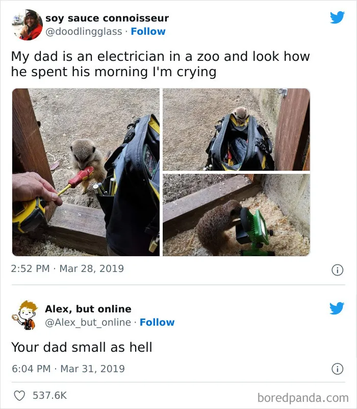50 Funny Science Jokes And Memes That Don't Require An IQ Of 300 To Get
