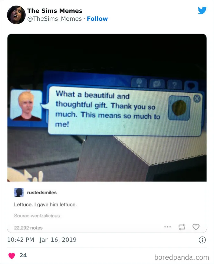 The Sims Memes