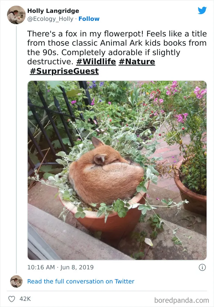 If It Fits, I Sits
