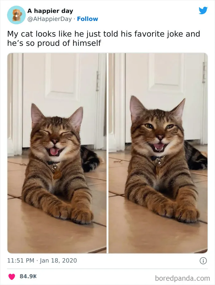 I Would Love To Know What The Joke Was