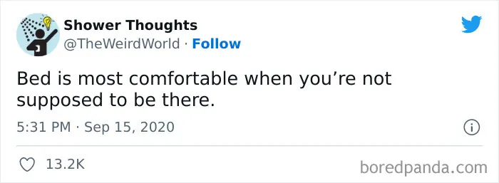50 Shower Thoughts That Make A Lot Of Sense, As Shared On This Online Page (New Pics)