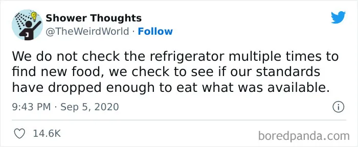 50 Shower Thoughts That Make A Lot Of Sense, As Shared On This Online Page (New Pics)