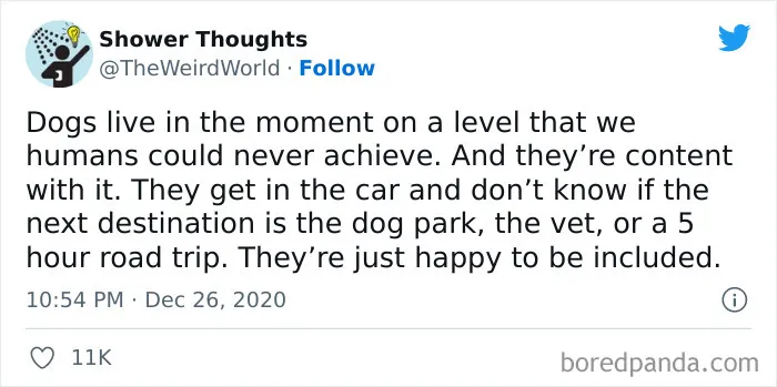 50 Shower Thoughts That Make A Lot Of Sense, As Shared On This Online Page (New Pics)