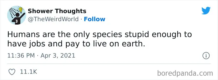 50 Shower Thoughts That Make A Lot Of Sense, As Shared On This Online Page (New Pics)