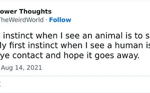 50 Shower Thoughts That Make A Lot Of Sense, As Shared On This Online Page (New Pics)