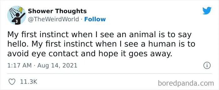 50 Shower Thoughts That Make A Lot Of Sense, As Shared On This Online Page (New Pics)