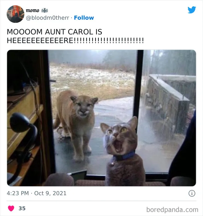 Hurry Up Mom!!