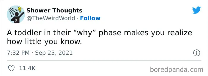 50 Shower Thoughts That Make A Lot Of Sense, As Shared On This Online Page (New Pics)