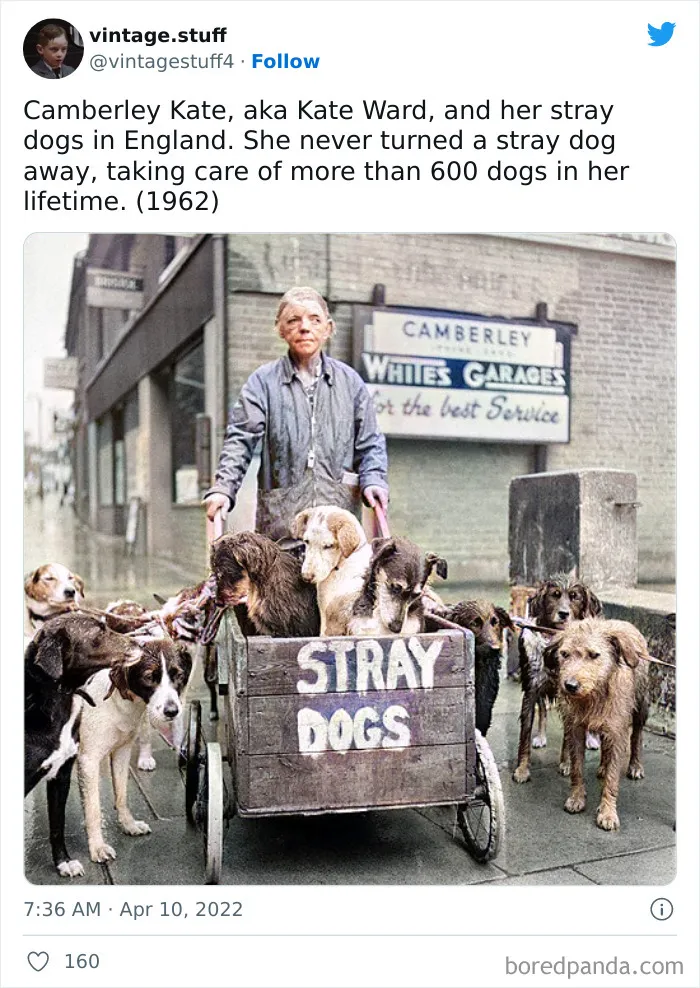 50 “Colorized Photos That Make History Look Truly Stunning”, As Shared By This Twitter Account