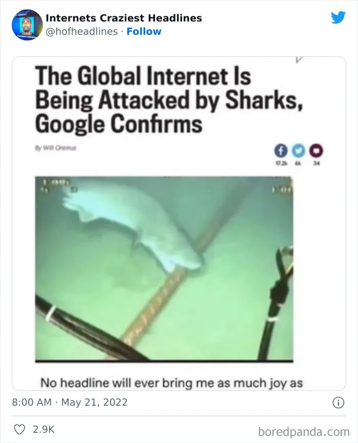 This Twitter Page Collects 50 Of The Most Ridiculous News Headlines Ever Printed Or Shared (New Pics)