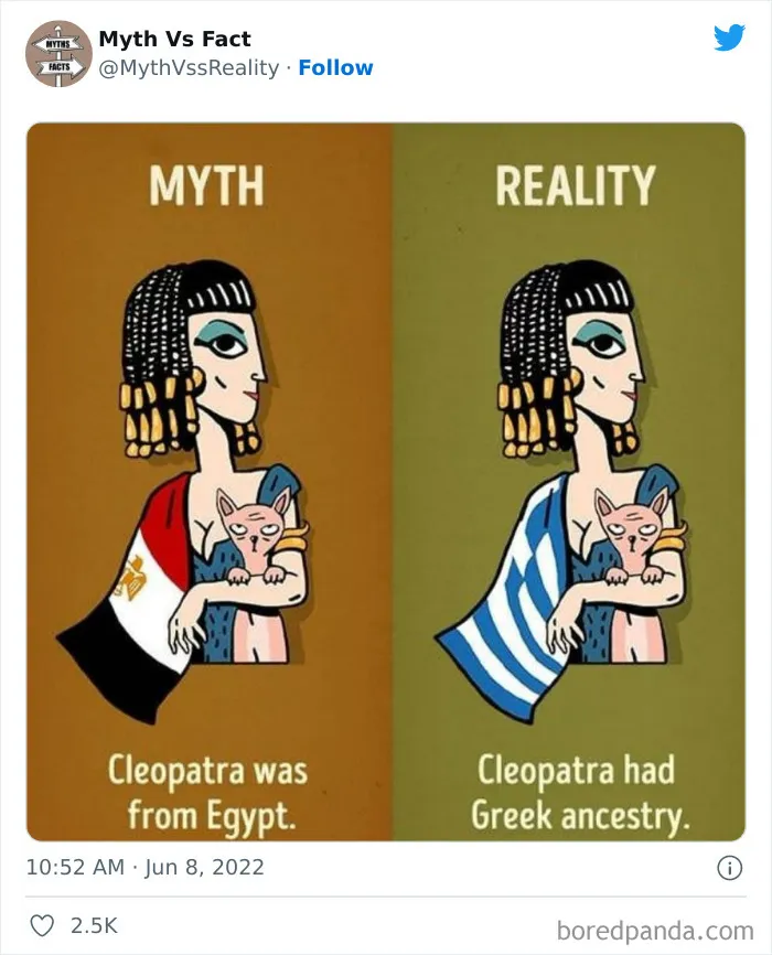 “Boost Your Knowledge”: 50 “Facts” That Are Actually Not True, Shared By This Twitter Account