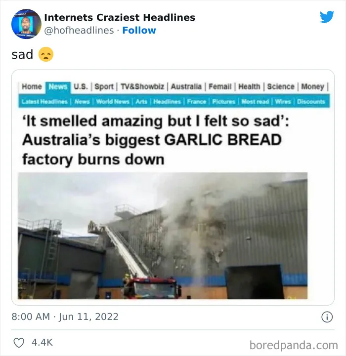 This Twitter Page Collects 50 Of The Most Ridiculous News Headlines Ever Printed Or Shared (New Pics)