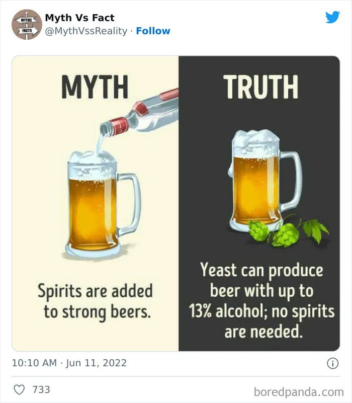 “Boost Your Knowledge”: 50 “Facts” That Are Actually Not True, Shared By This Twitter Account
