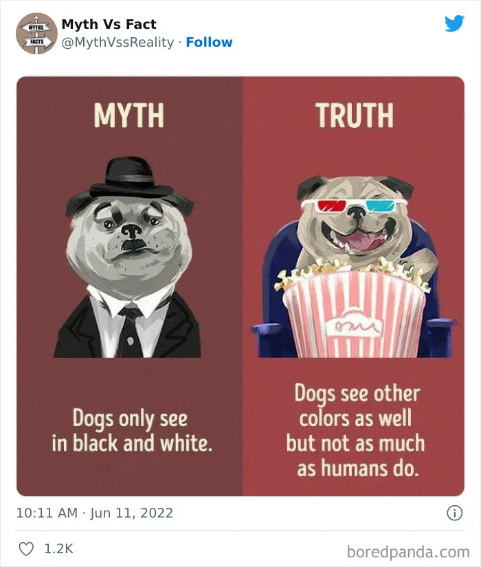 “Boost Your Knowledge”: 50 “Facts” That Are Actually Not True, Shared By This Twitter Account