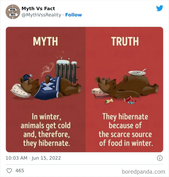 “Boost Your Knowledge”: 50 “Facts” That Are Actually Not True, Shared By This Twitter Account