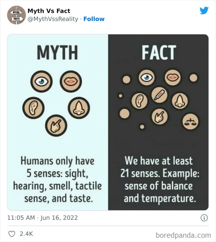 “Boost Your Knowledge”: 50 “Facts” That Are Actually Not True, Shared By This Twitter Account