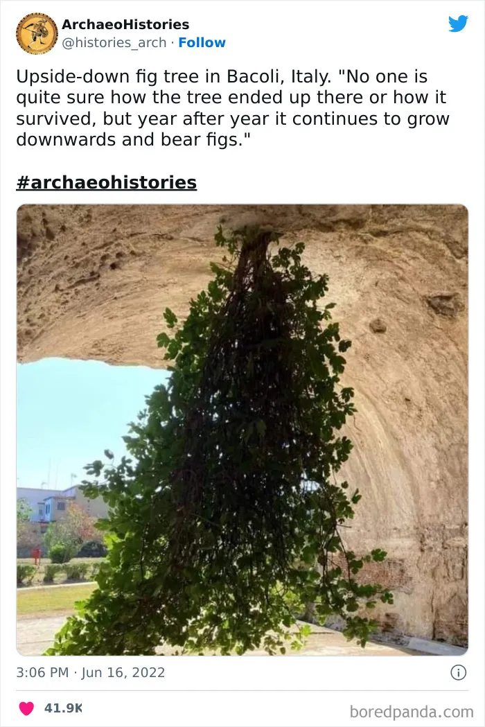 40 Of The Most Amazing Archaeological Discoveries Shared On This Educational Twitter Page
