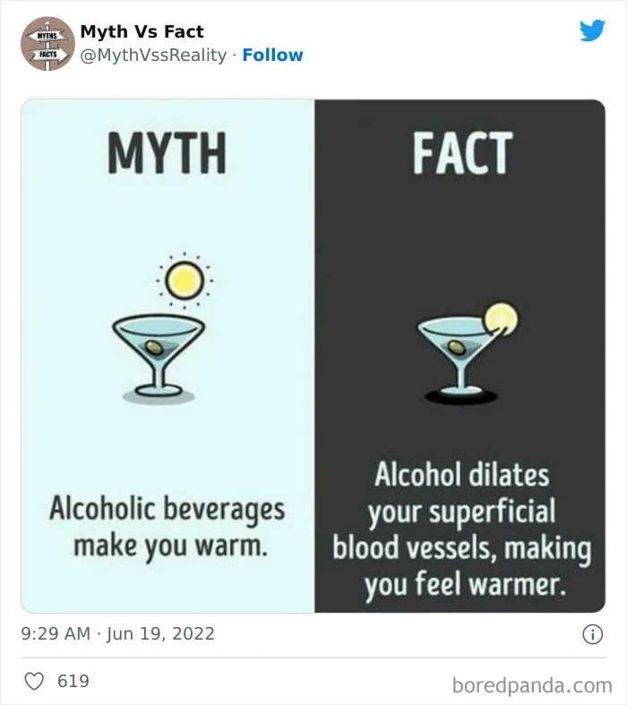 “Boost Your Knowledge”: 50 “Facts” That Are Actually Not True, Shared By This Twitter Account