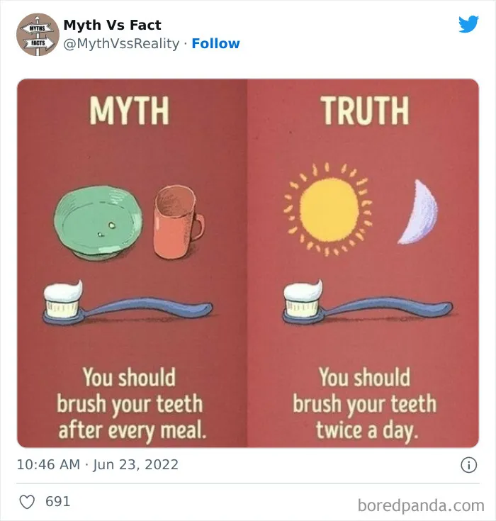 “Boost Your Knowledge”: 50 “Facts” That Are Actually Not True, Shared By This Twitter Account