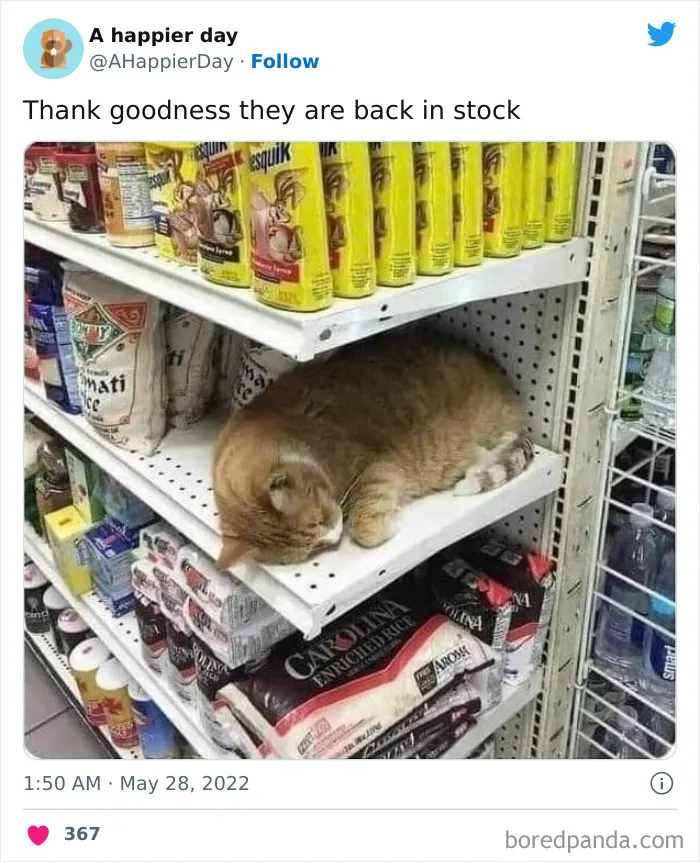 Stock