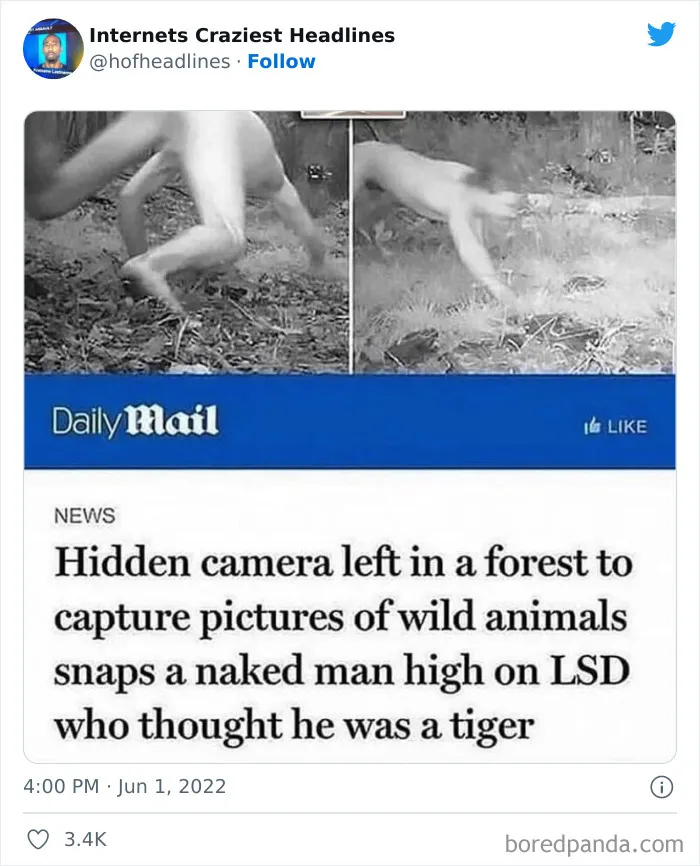 This Twitter Page Collects 50 Of The Most Ridiculous News Headlines Ever Printed Or Shared (New Pics)