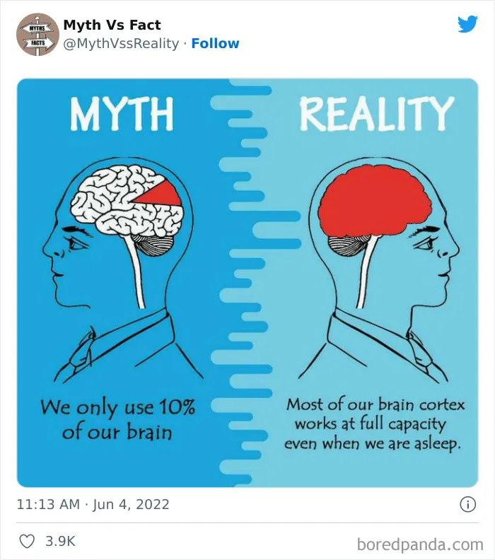 “Boost Your Knowledge”: 50 “Facts” That Are Actually Not True, Shared By This Twitter Account