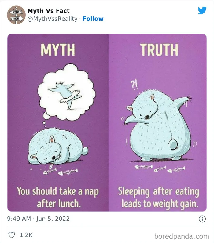 “Boost Your Knowledge”: 50 “Facts” That Are Actually Not True, Shared By This Twitter Account
