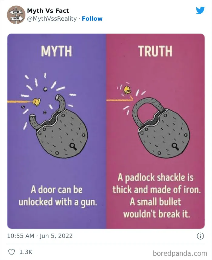 “Boost Your Knowledge”: 50 “Facts” That Are Actually Not True, Shared By This Twitter Account