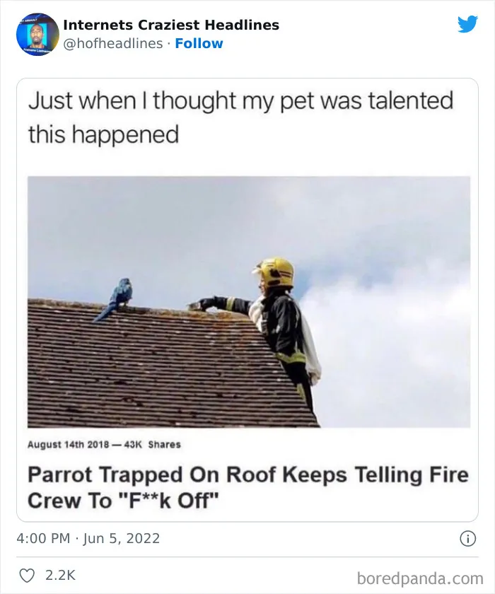 This Twitter Page Collects 50 Of The Most Ridiculous News Headlines Ever Printed Or Shared (New Pics)