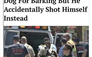 This Twitter Page Collects 50 Of The Most Ridiculous News Headlines Ever Printed Or Shared (New Pics)