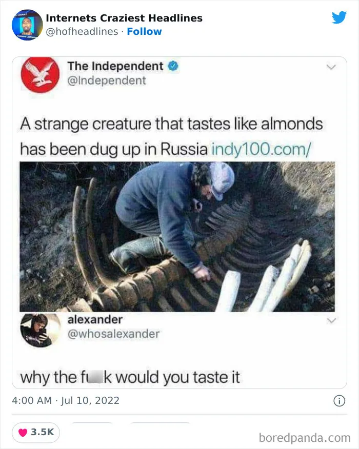 This Twitter Page Collects 50 Of The Most Ridiculous News Headlines Ever Printed Or Shared (New Pics)